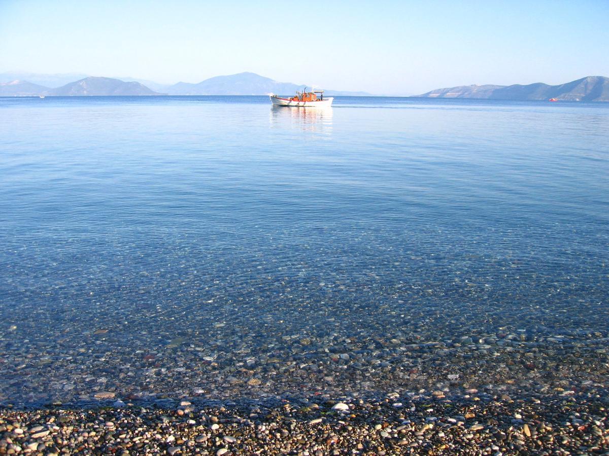 Aparthotel Island à Pefki  Extérieur photo